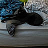 animal, bed, black_cat, blanket, cat, comfort, cozy, cute, domestic, feline, furniture, home, indoor, pet, pillow, relaxation, resting, sleepy, soft, stretching