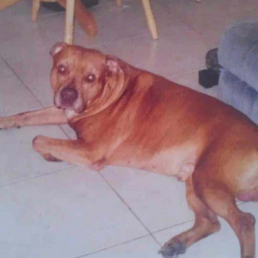 Mackmack