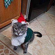 Charlie joined the competition — help win amazing prizes! cat, grey_cat, costume, elf_hat, white_fluffy_collar, indoor, tile_floor, cabinet, pet, animal, holiday, festive, cute, fur, tail, green_eyes, domestic_cat, looking_at_camera, floor_rug, household