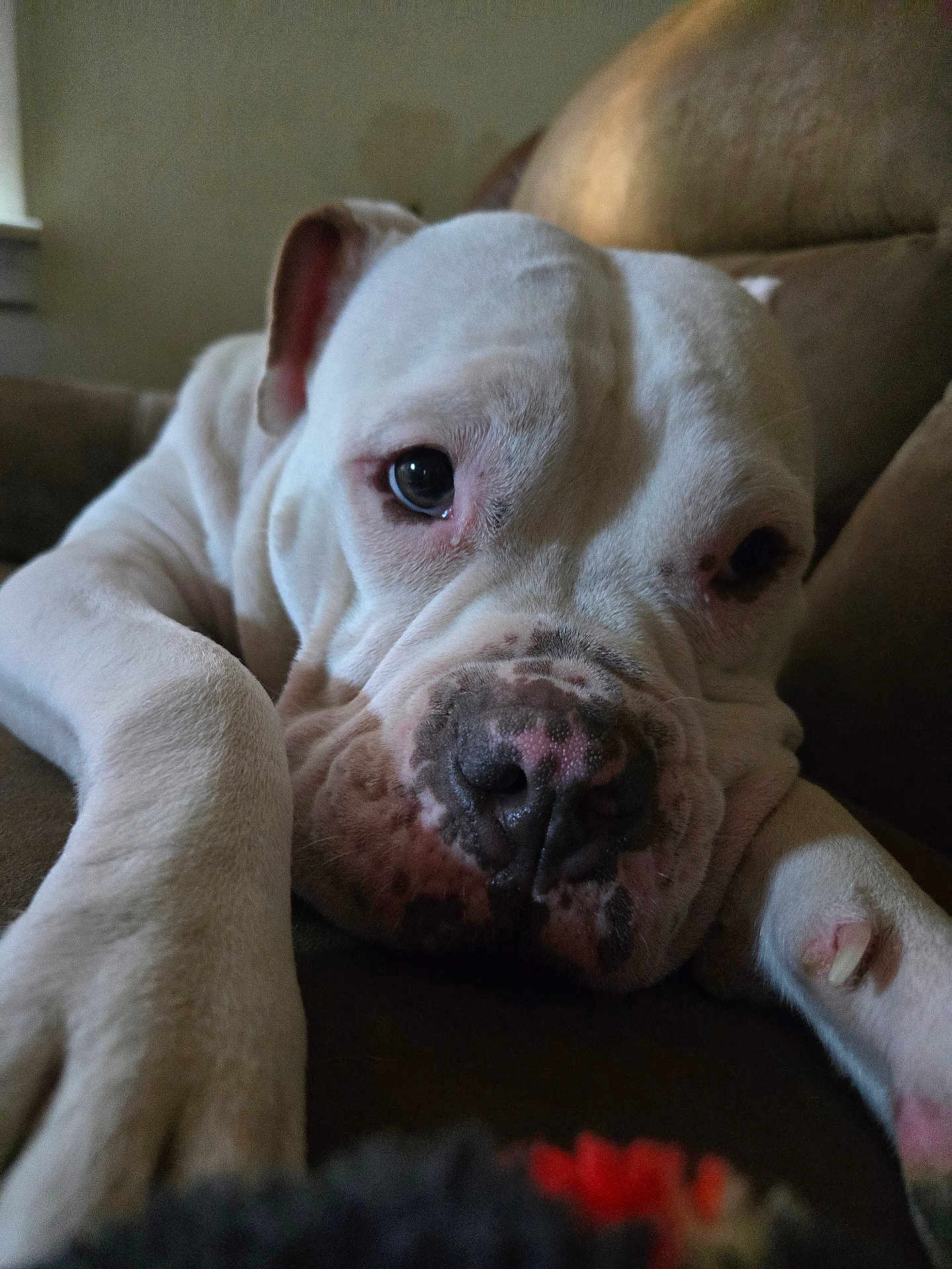 Skye