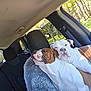 dog, bulldog, pet, animal, car_interior, seat, blanket, window, sunlight, resting, snuggle, companion, white, brown, fur, seatbelt, daylight, relaxed, canine, travel