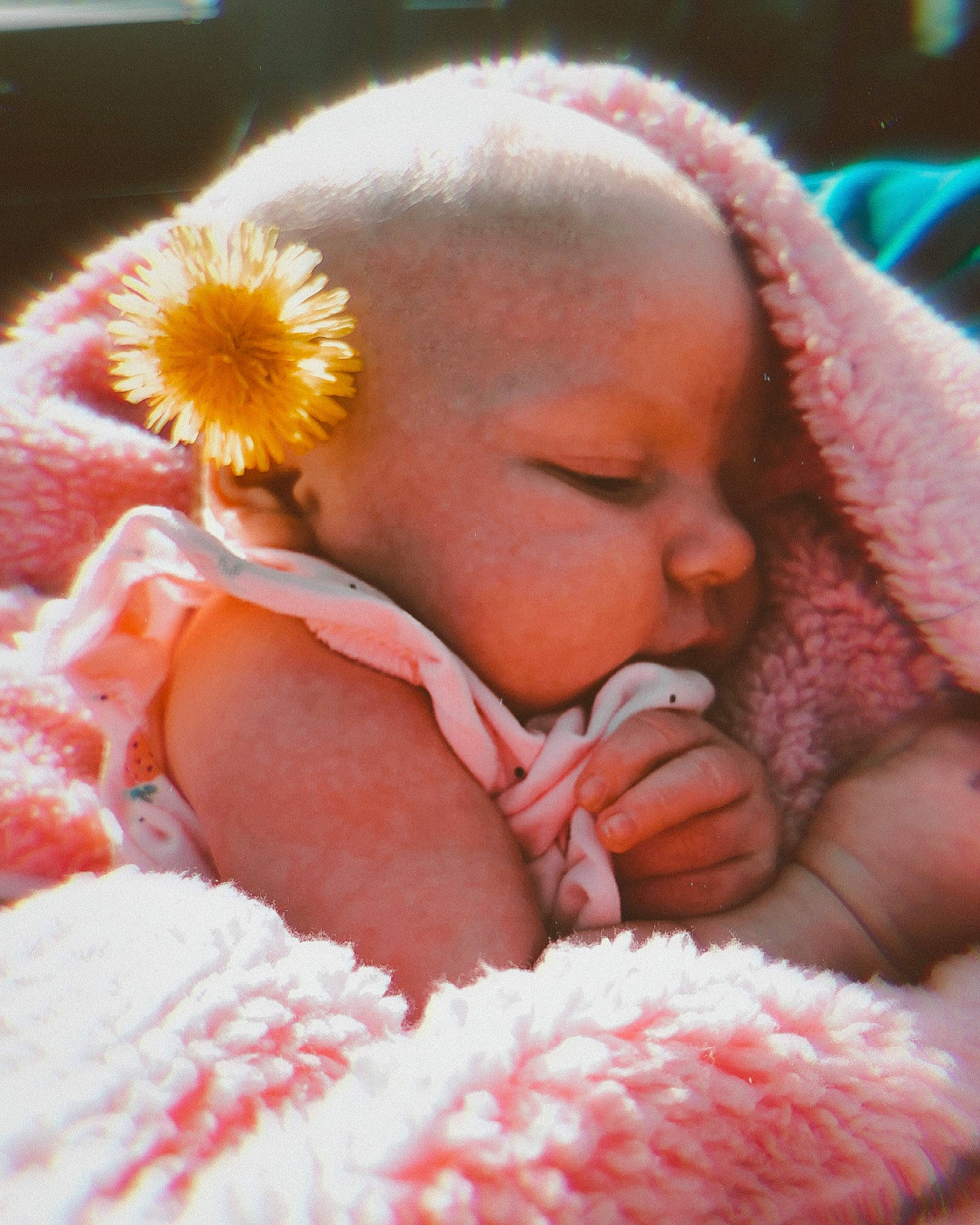 Bailey joined the competition — help win amazing prizes! cheek, chin, comfort, eye, facial_expression, flower, hand, happy, head, human_body, iris, leaf, lip, mouth, nose, organ, person, skin, textile, vertebrate