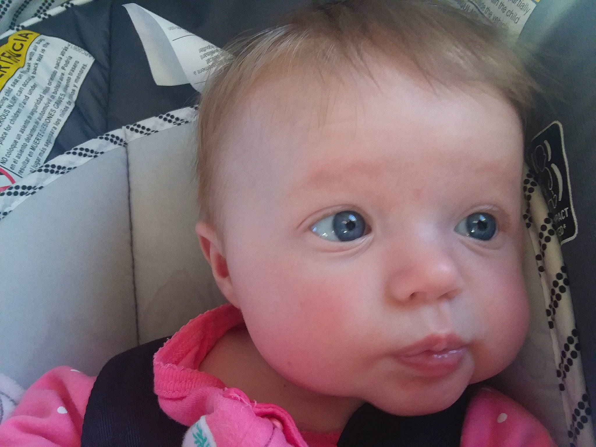 Addalyn joined the competition — help win amazing prizes! baby, beauty, cheek, child, chin, cool, ear, eye, eyebrow, face, forehead, hair, head, iris, lip, nose, organ, person, pink, skin