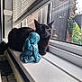 animal, black_cat, blue_statue, cat, ceramic_statue, curious, daylight, decor, feline, houseplant, indoor, looking, pet, quiet, relaxing, still_life, white_surface, window, window_blind, windowsill