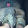 animal, car_floor_mat, casual, cat, close_up, cozy, crocs, footwear, fur, gray_tabby, human_feet, indoor, paws, pet, quiet, relaxation, resting, shoes, sleeping, tattoo