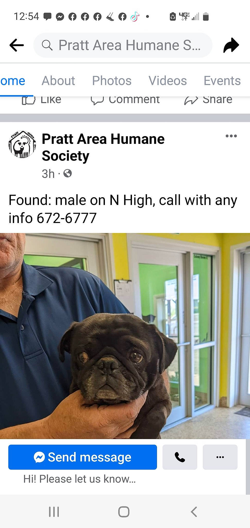 Duke joined the competition — help win amazing prizes! advertising, canidae, carnivore, chair, clock, companion_dog, dog, dog_breed, door, fawn, font, pug, screenshot, sleeve, snout, sporting_group, table, toy_dog, window, wrinkle