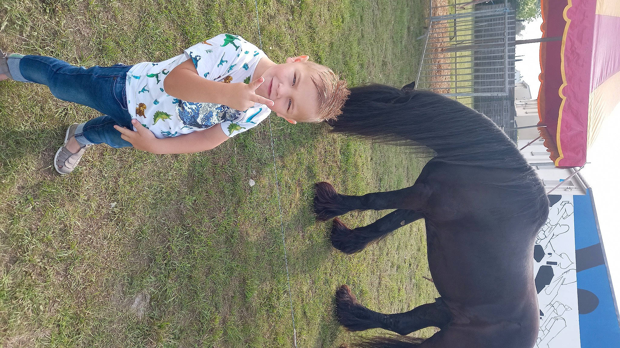 Djoulyan a rejoint le concours — aidez-le/la à gagner de superbes lots ! dog_breed, fun, gesture, grass, grassland, guard_dog, happy, human_leg, knee, landscape, lawn, leisure, people_in_nature, person, shadow, soil, t_shirt, tail, thigh, tree