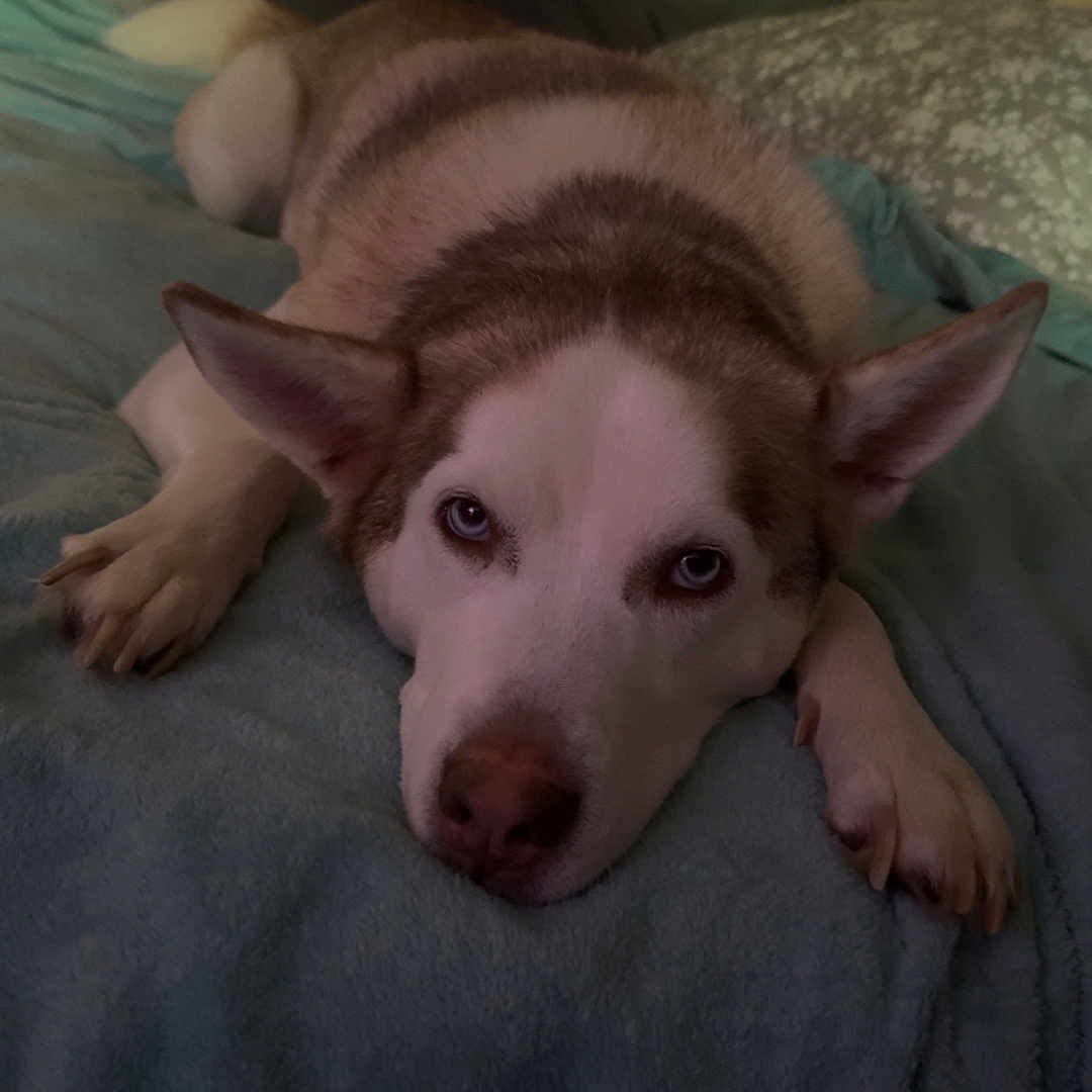 Millie Mae