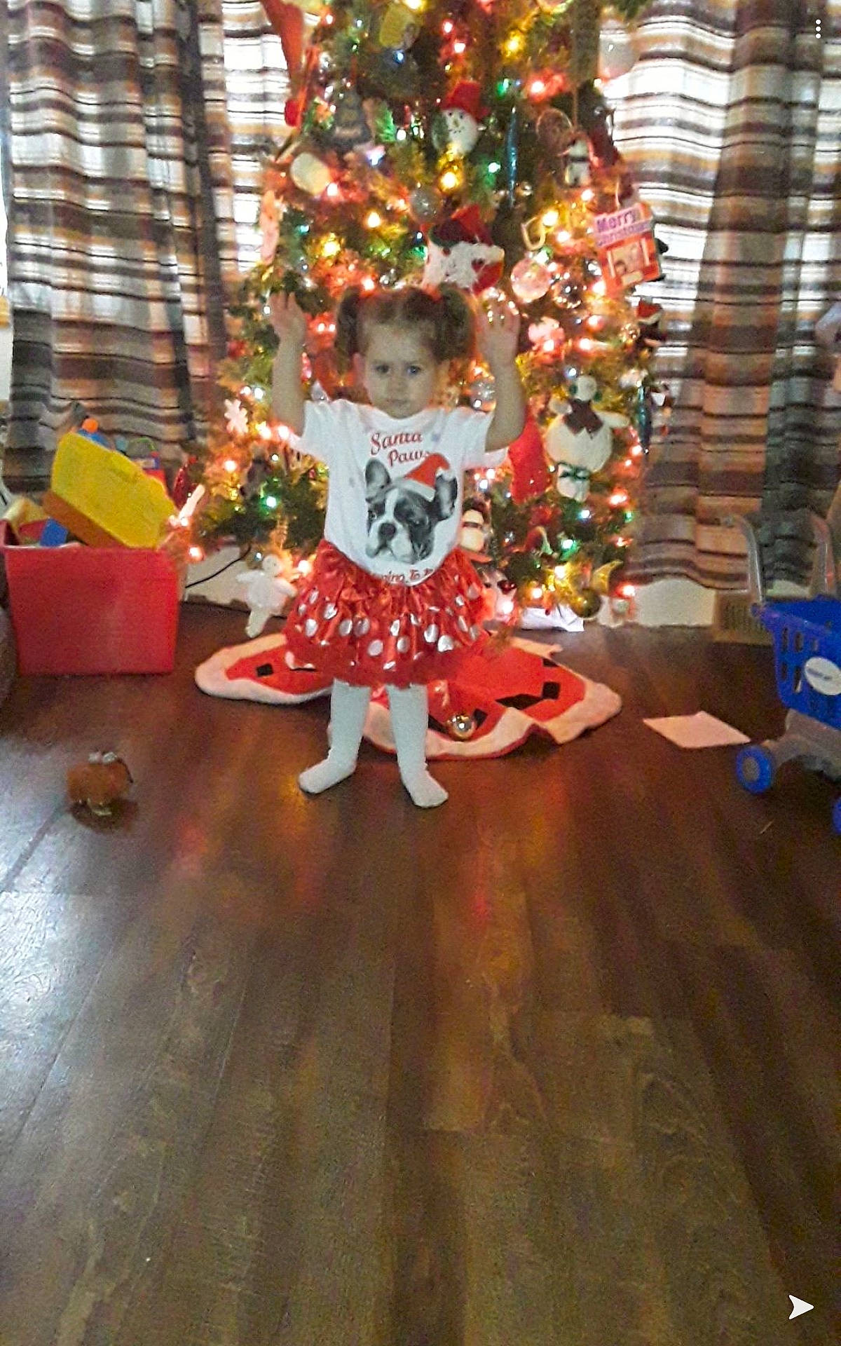 Adalena is registered to the contest to win money with this photo: child, christmas, christmas_decoration, christmas_eve, christmas_ornament, christmas_tree, event, holiday, interior_design, person, play, toddler, tree