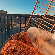 Howl joined the competition — help win amazing prizes! cat, fluffy_cat, orange_blanket, knit_blanket, chair, balcony, blue_sky, sunlight, urban, building, outdoor, cozy, relaxing, pet, furniture, daytime, home, comfort, warm, resting