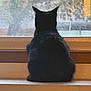 Lady Raven joined the competition — help win amazing prizes! cat, black_cat, sitting, windowsill, window, screen, silhouette, back_view, pet, indoor, ears, fur, looking_out, contour, still_life, quiet, home, feline, solitude, animal