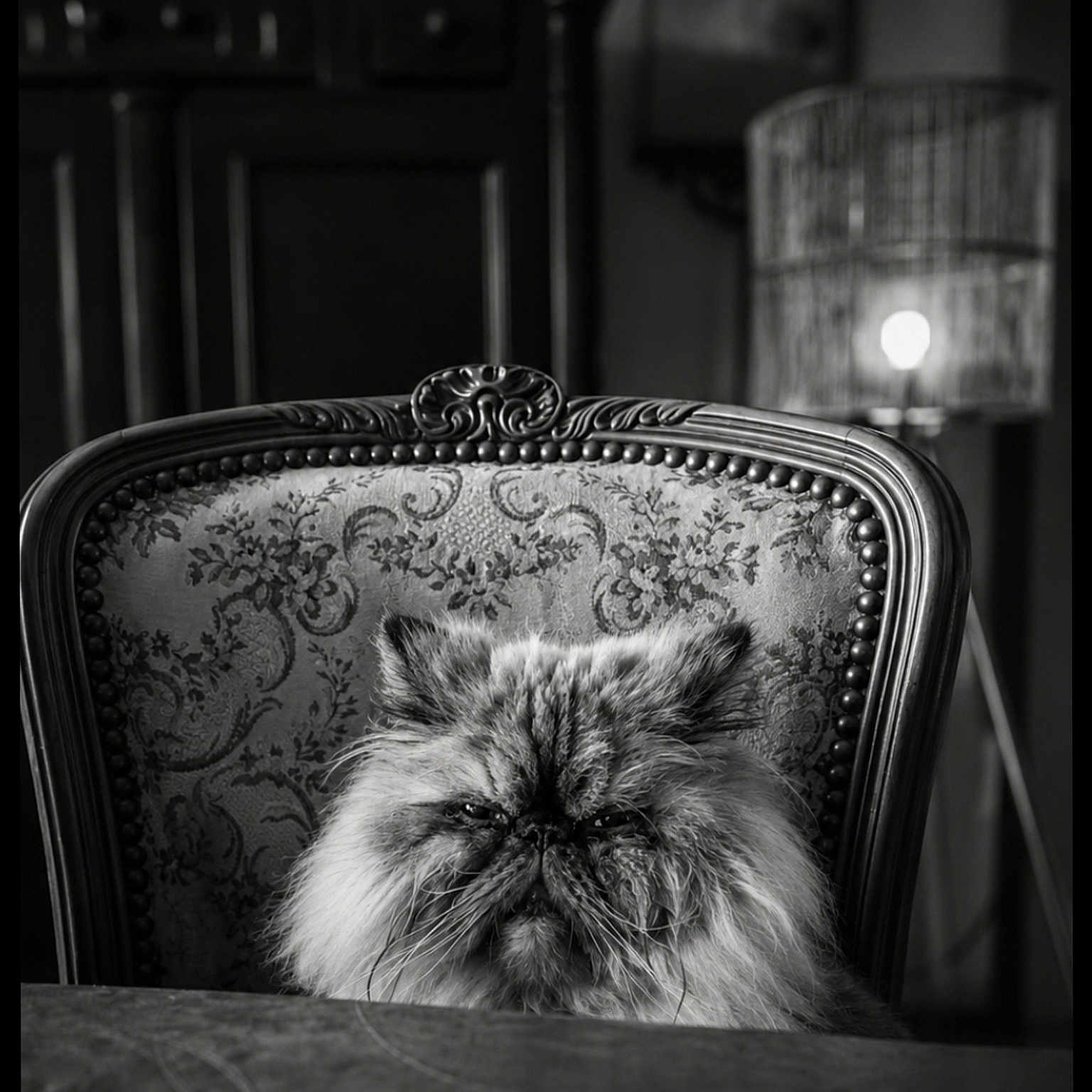 Achille