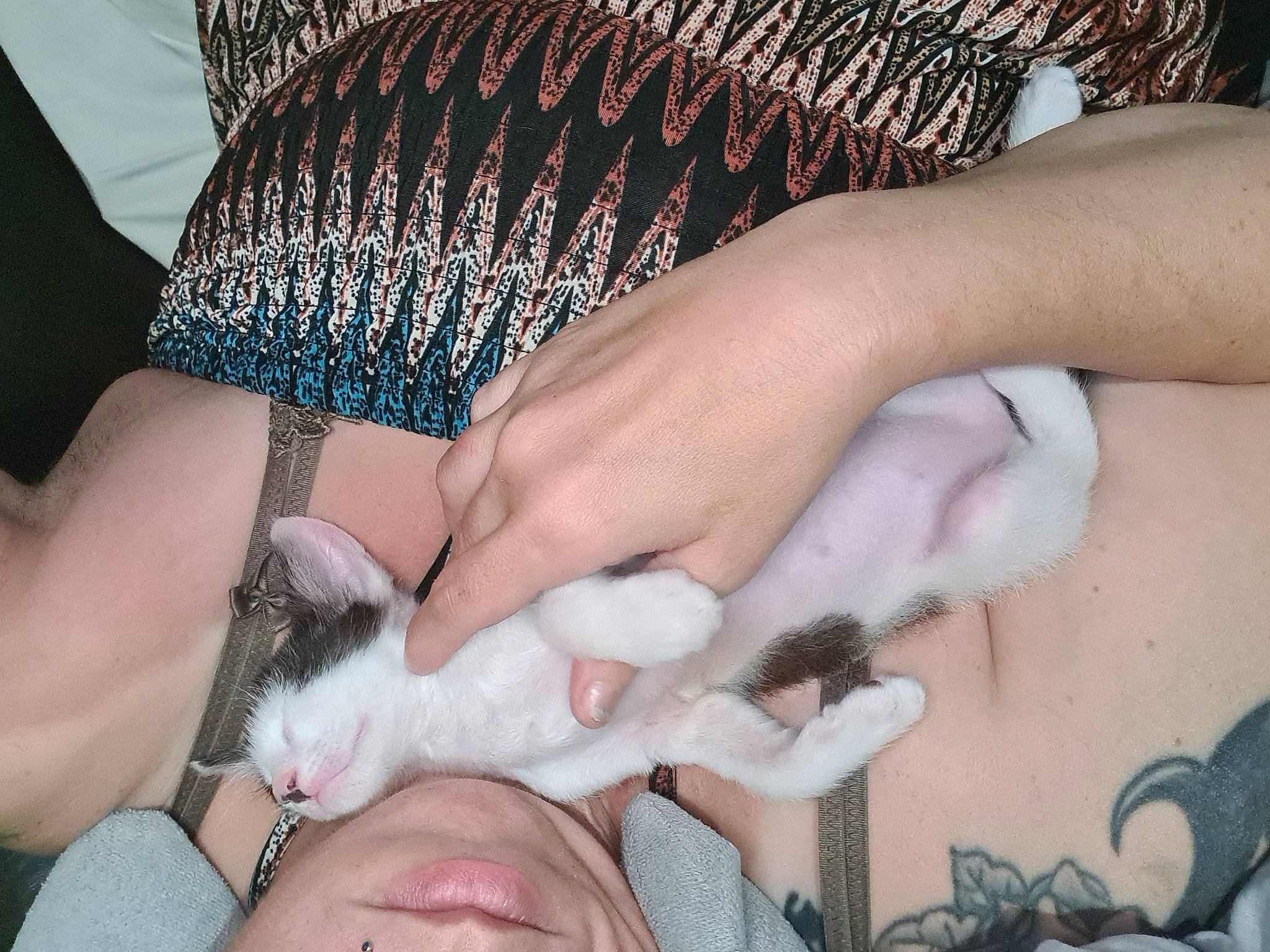 Michael a rejoint le concours — aidez-le/la à gagner de superbes lots ! barefoot, comfort, fawn, felidae, finger, foot, hand, human_body, human_leg, lap, leg, mammal, nail, organ, skin, small_to_medium_sized_cats, thigh, thumb, vertebrate, wrist