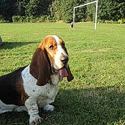 Flapy participe au concours pour gagner de l'argent avec cette photo :