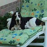 Balthasar a rejoint le concours — aidez-le/la à gagner de superbes lots !