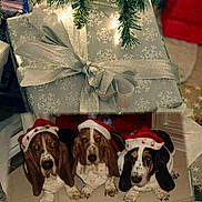 Gandalf a rejoint le concours — aidez-le/la à gagner de superbes lots !