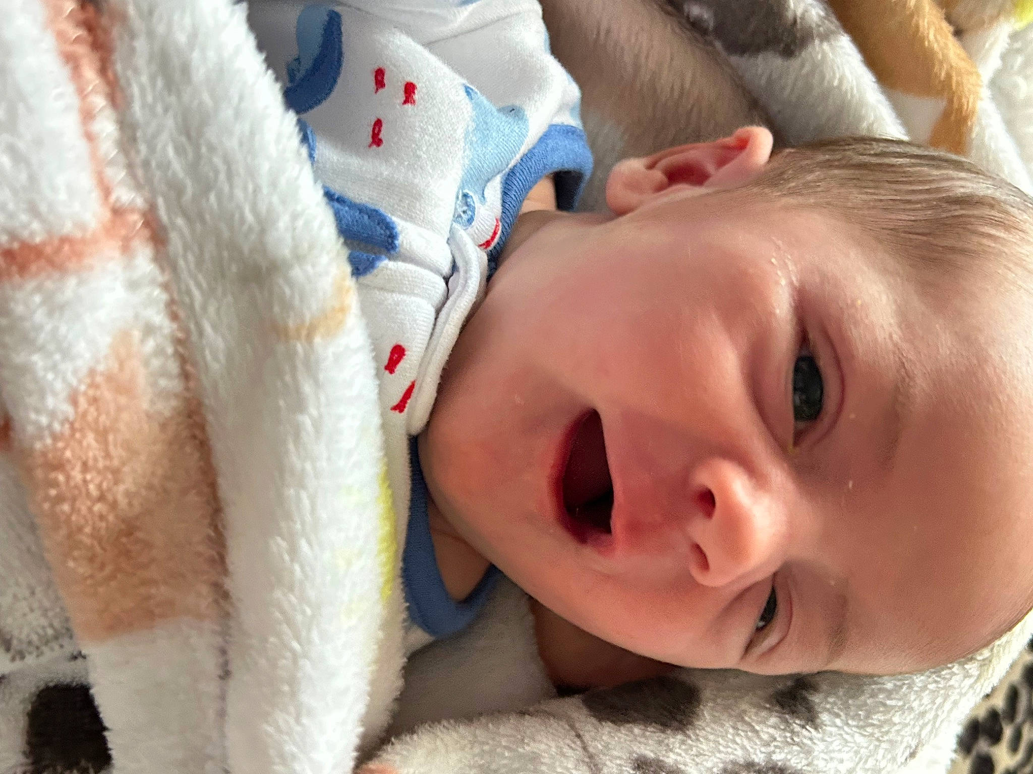 Krew joined the competition — help win amazing prizes! baby, cheek, chin, comfort, ear, eye, eyebrow, eyelash, face, facial_expression, happy, head, iris, lip, mouth, nose, person, skin, smile, toddler