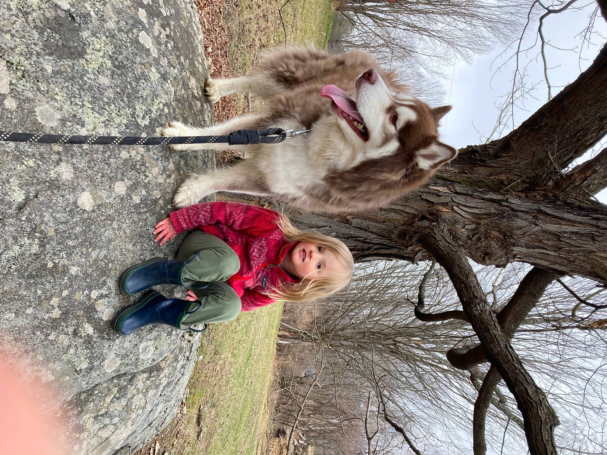 Mabel is registered to the contest to win money with this photo: fawn, fun, fur, happy, leisure, marsupial, people_in_nature, person, plant, recreation, smile, terrestrial_animal, toddler, tree, trunk, twig, vertebrate, wildlife, winter, wood