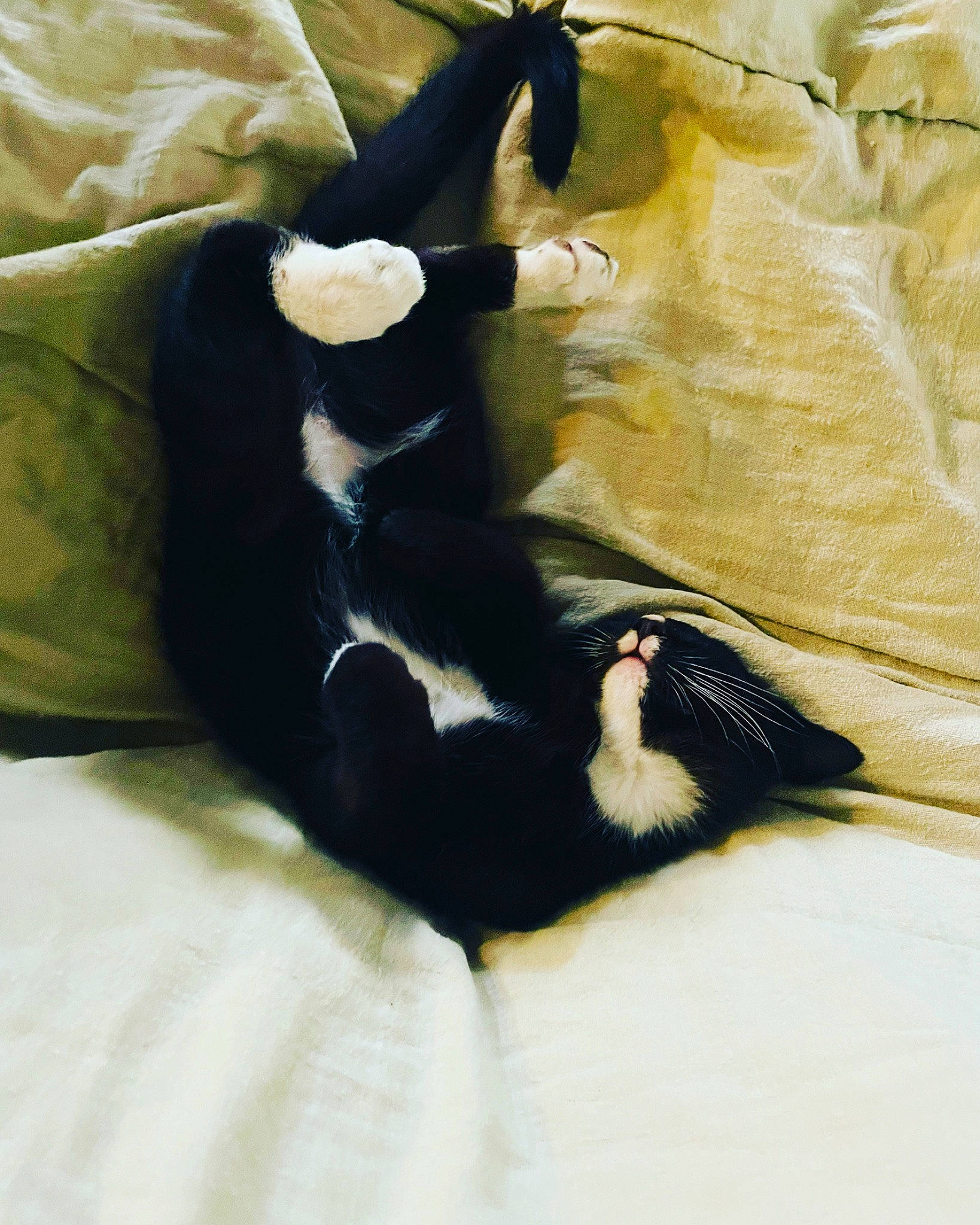 Pete