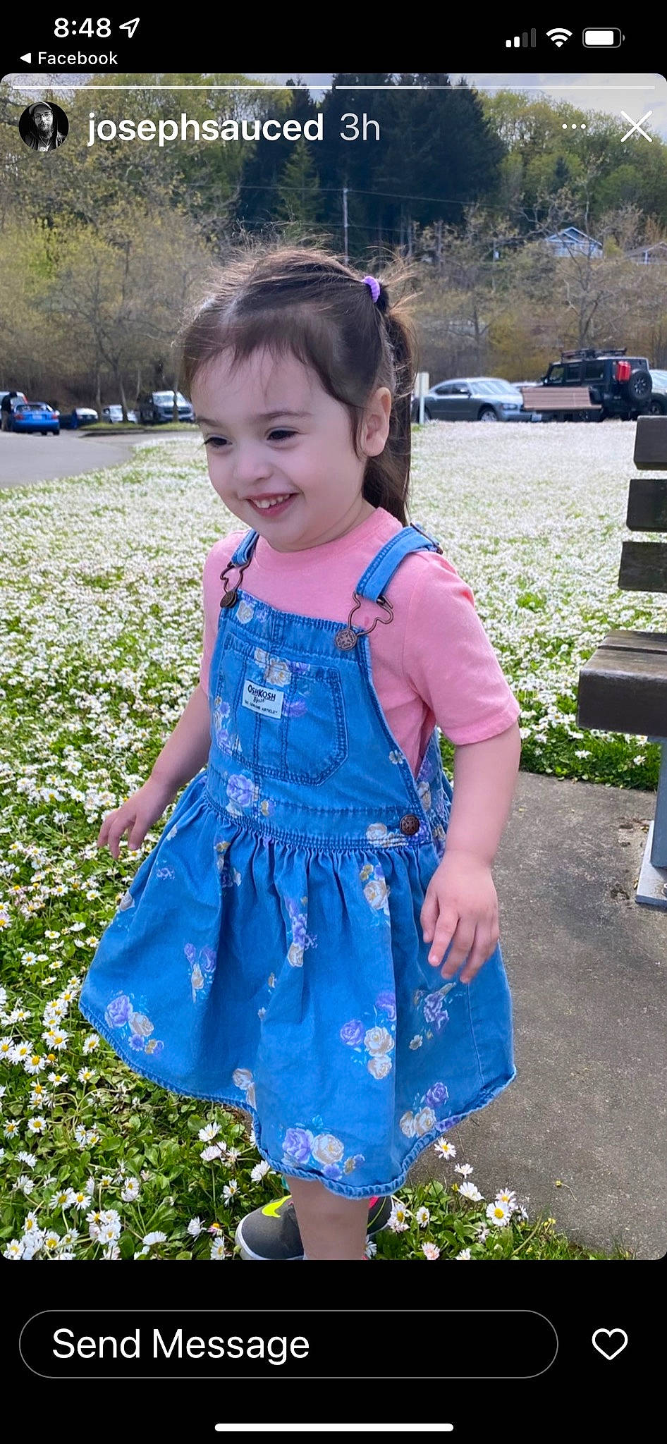Zoey is registered to the contest to win money with this photo: baby_toddler_clothing, blue, botany, child, day_dress, dress, electric_blue, face, grass, happy, joy, one_piece_garment, pattern, person, photograph, pink, plant, purple, sleeve, smile