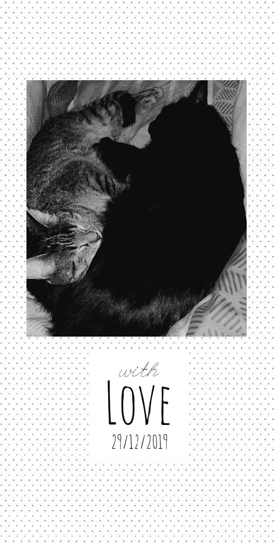 Harley participe au concours pour gagner de l'argent avec cette photo : black_and_white, book, book_cover, font, love, photography, poster, stock_photography, style, text