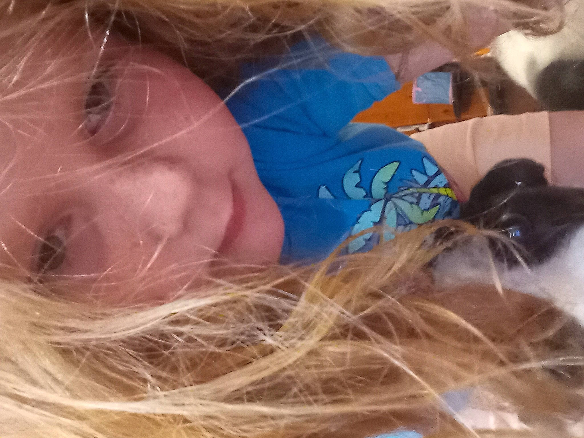 Alyssa is registered to the contest to win money with this photo: blond, brown_hair, close_up, electric_blue, eyebrow, eyelash, eyewear, fun, fur, grass, happy, human, long_hair, mammal, mouth, neck, nose, person, skin, sunglasses