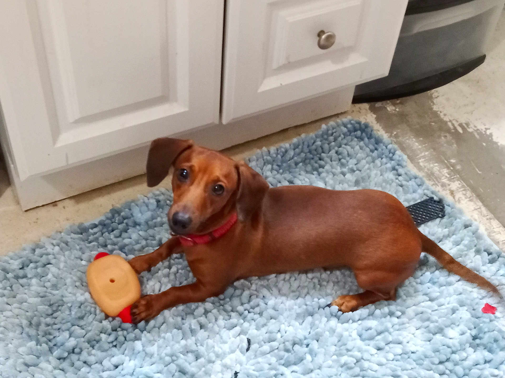 Copper James