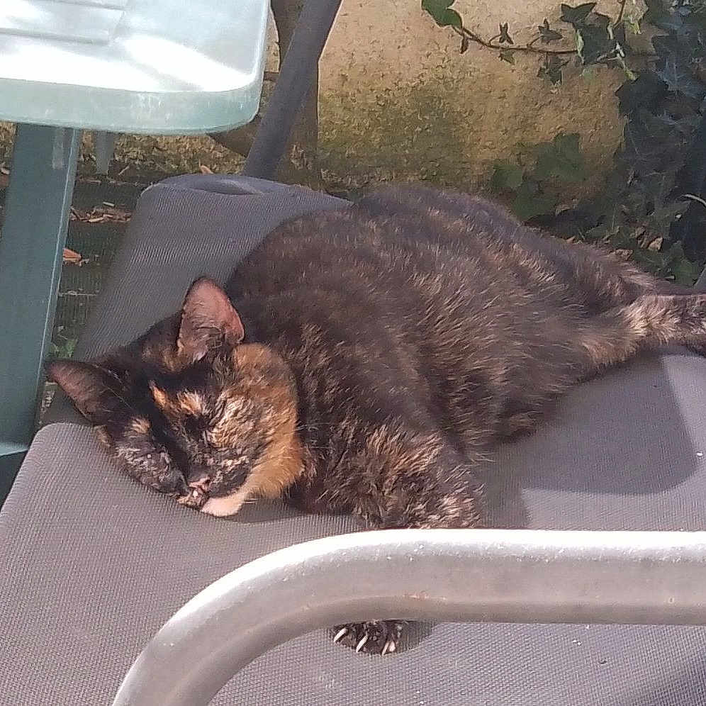 Bella