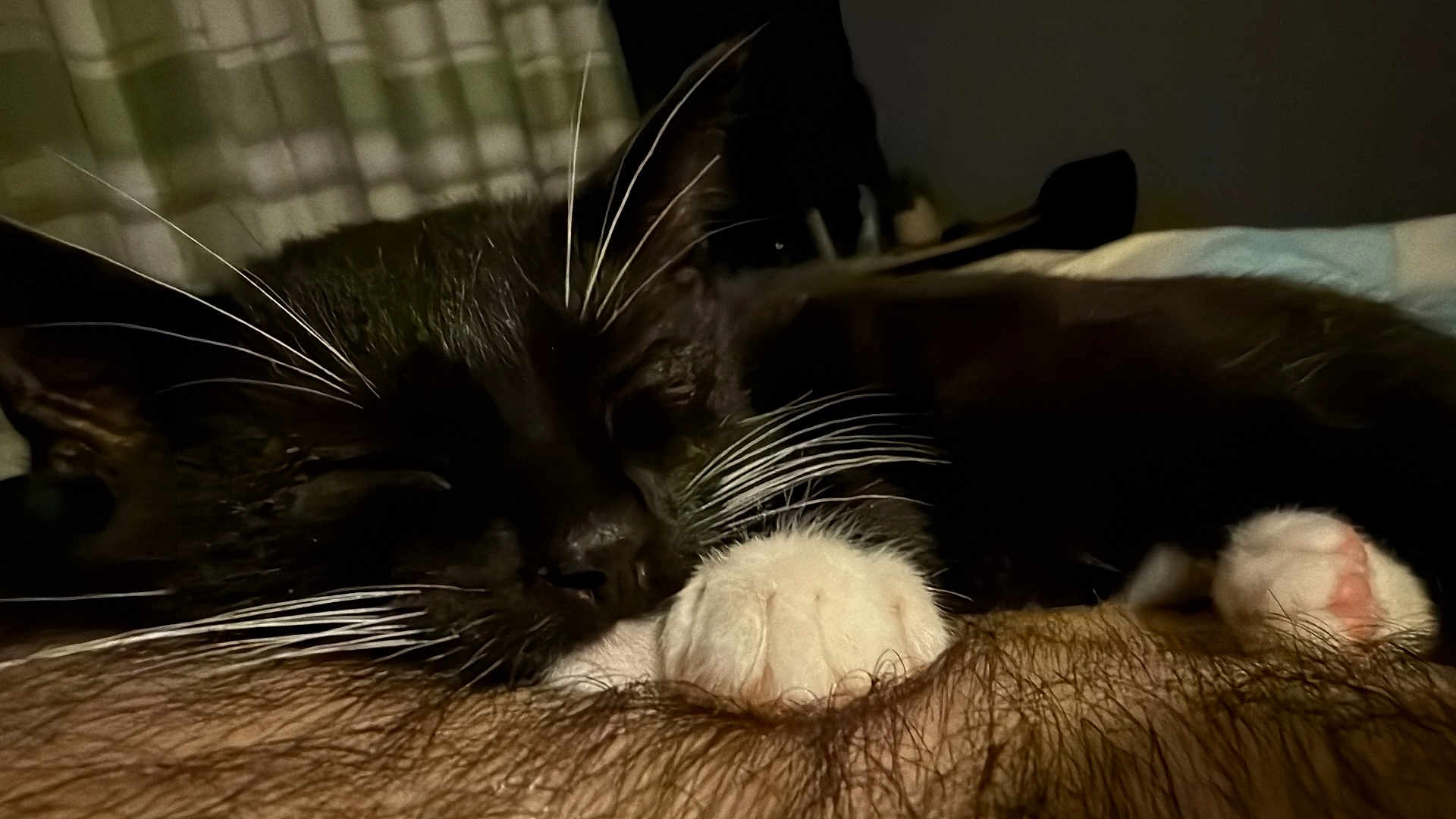 Odin