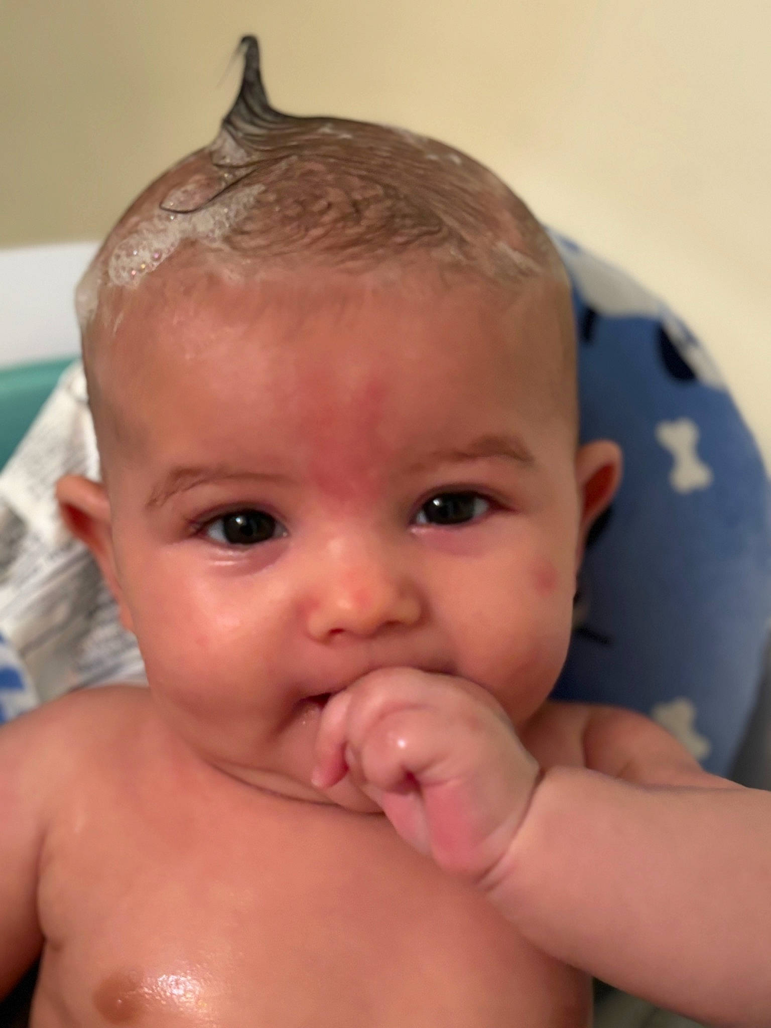 Ezekiel joined the competition — help win amazing prizes! baby, baby_bathing, cheek, ear, eye, eyebrow, eyelash, finger, forehead, gesture, hair, happy, head, human_body, iris, lip, mouth, neck, nose, person