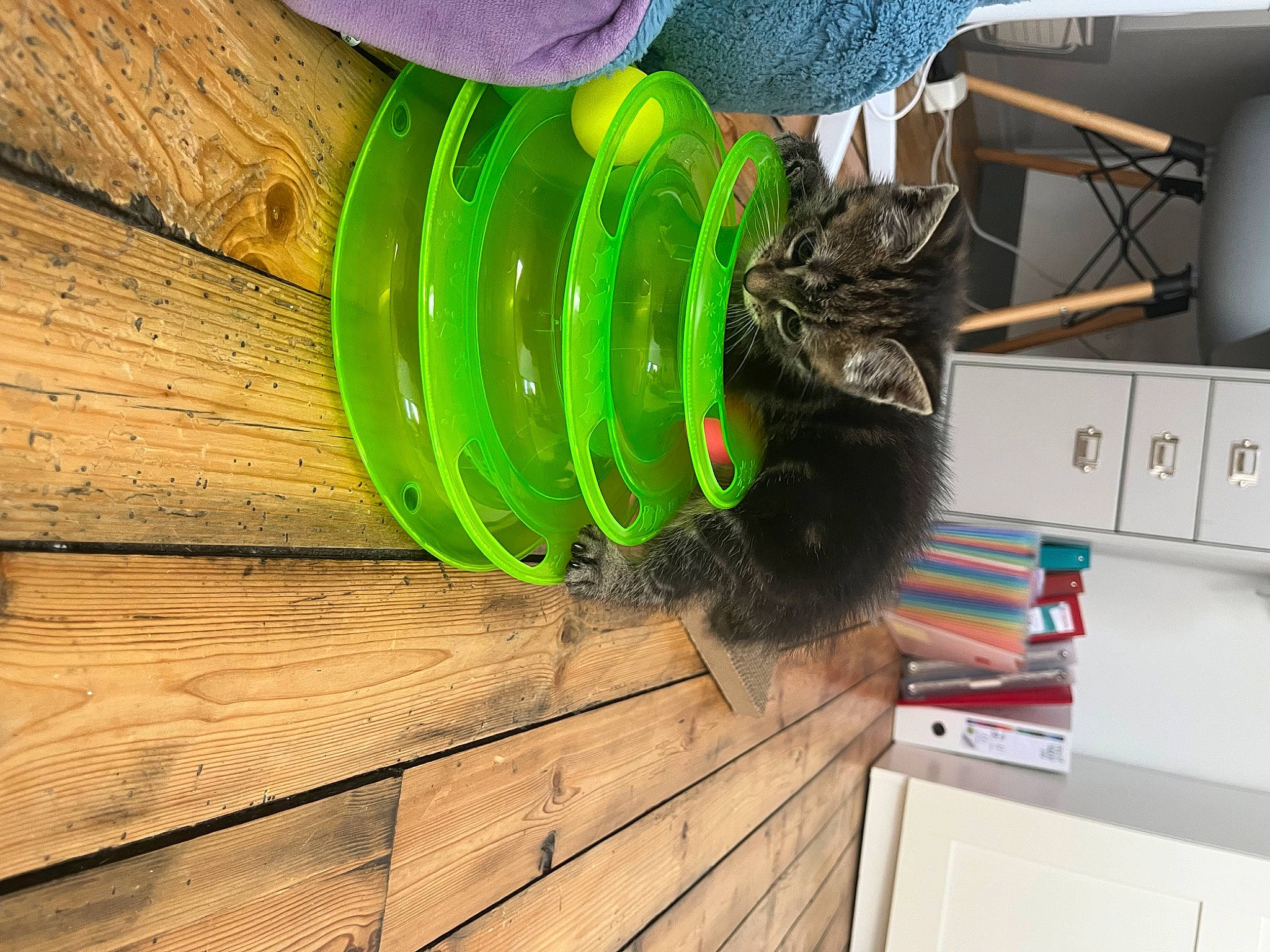 Tya participe au concours pour gagner de l'argent avec cette photo : automotive_tire, automotive_wheel_system, flooring, glass, grass, hardwood, helmet, lumber, machine, personal_protective_equipment, plank, plywood, room, thread, tire, toy, tree, varnish, wood, wood_stain