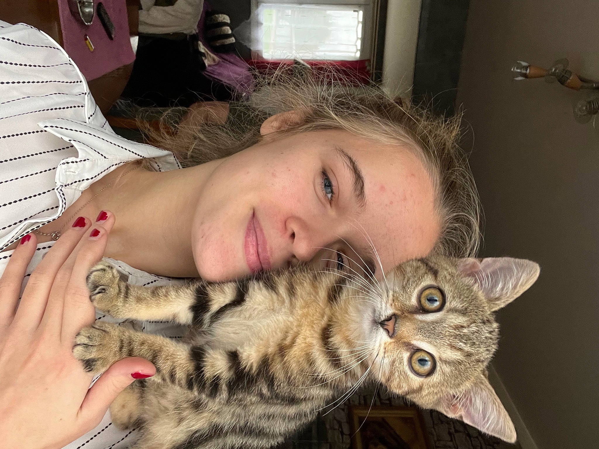 Banzaï a rejoint le concours — aidez-le/la à gagner de superbes lots ! carnivore, cat, comfort, domestic_short_haired_cat, eye, eyelash, fawn, felidae, finger, fur, gesture, happy, jaw, mouth, nail, nose, small_to_medium_sized_cats, smile, snout, whiskers