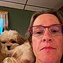 Daisy Mae is registered to the contest to win money with this photo: calm, casual, closeup, companion, curtains, dog, fluffy_dog, glasses, green_wall, home, indoor, middle_aged, person, pet, portrait, relaxed, resting, shoulder, sofa, window