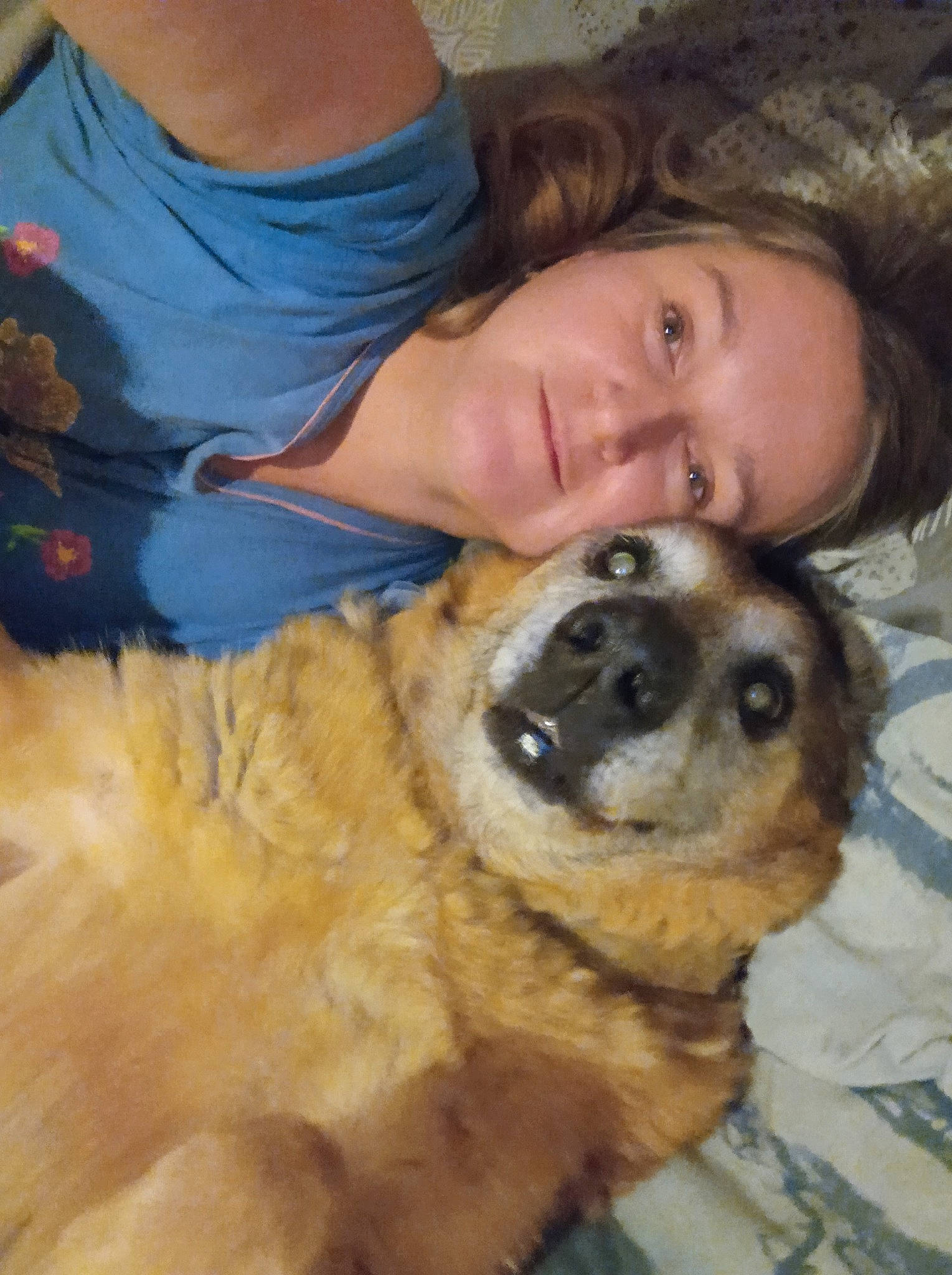 Luna a rejoint le concours — aidez-le/la à gagner de superbes lots ! canidae, carnivore, comfort, companion_dog, dog, dog_breed, ear, fawn, fun, fur, guard_dog, happy, nose, puppy_love, smile, sporting_group, whiskers, working_dog