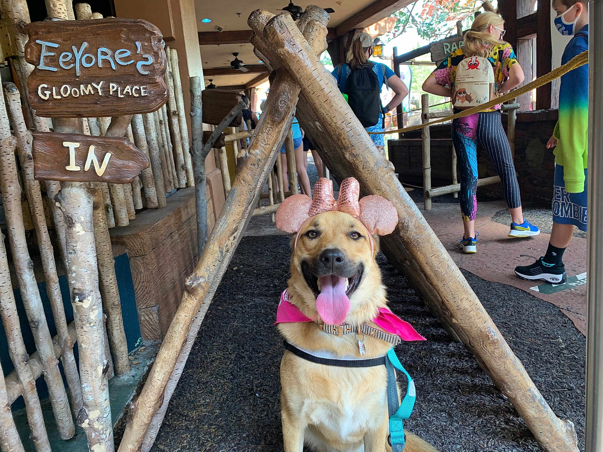 Gemini is registered to the contest to win money with this photo: animal, backpack, casual_clothing, daytime, dog, footwear, happy, leash, mouse_ears, outdoor, people, pet, pink_bandana, rustic, sign, smiling, teepee, tongue_out, wood, wooden_structure