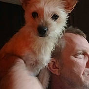 Jill is registered to the contest to win money with this photo: dog, man, shoulder, pet, furry, indoors, face, ear, portrait, closeup, candid, resting, adult, companion, animal, human, expression, brown, hair, skin