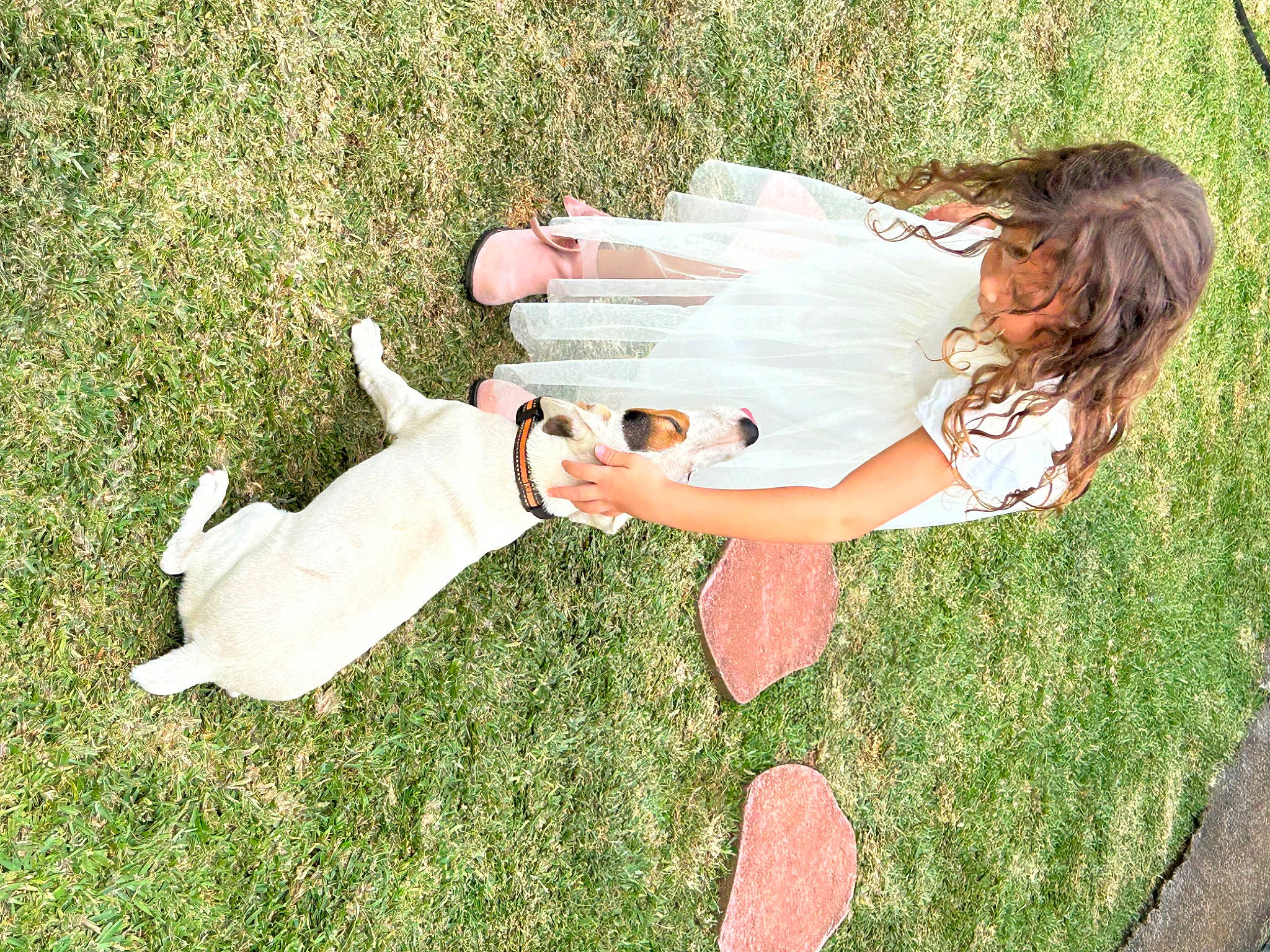 Athena a rejoint le concours — aidez-le/la à gagner de superbes lots ! child, companion_dog, eyewear, fun, gesture, grass, grass_family, grassland, happy, human_leg, knee, lawn, leisure, meadow, pasture, people_in_nature, person, plant, recreation, sitting