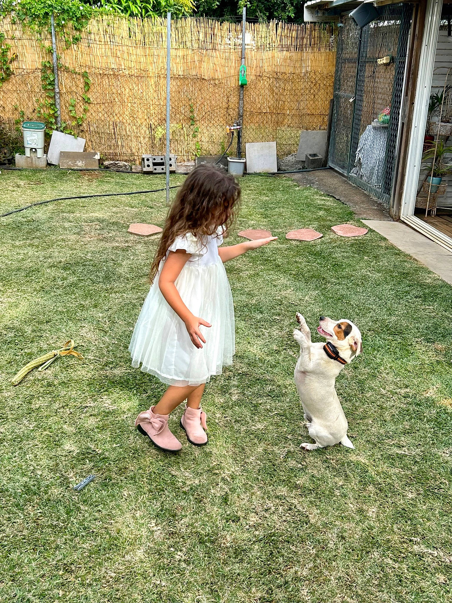 Athena participe au concours pour gagner de l'argent avec cette photo : carnivore, child, companion_dog, dog_breed, fawn, felidae, fun, garden, grass, grass_family, grassland, lawn, leisure, people_in_nature, person, plant, rabbit, recreation, tail, toddler