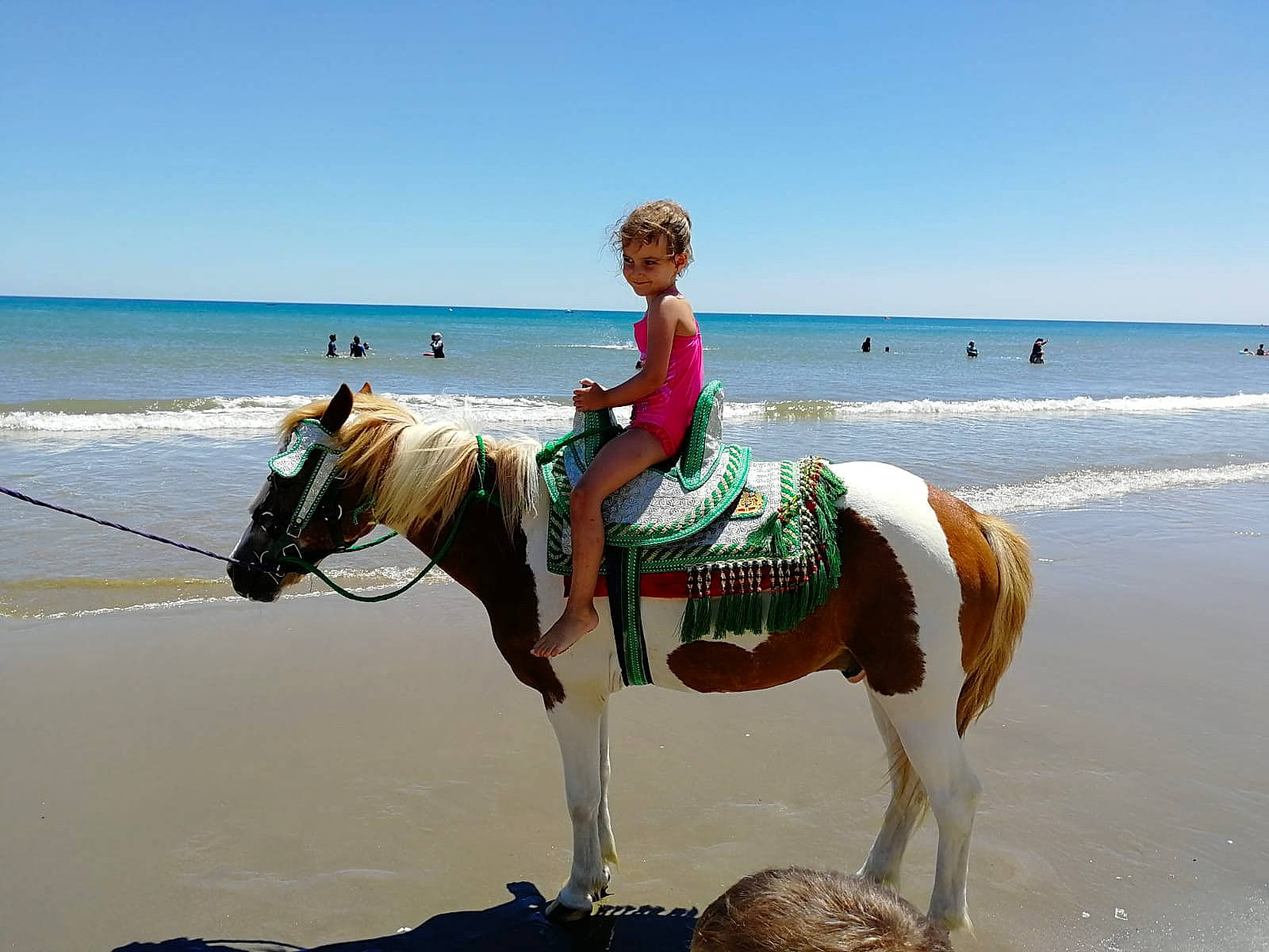 Leïla a rejoint le concours — aidez-le/la à gagner de superbes lots ! animal_sports, beach, bridle, equestrianism, fun, halter, horse, horse_supplies, horse_tack, mane, mare, person, recreation, rein, saddle, sea, stallion, summer, tourism, trail_riding