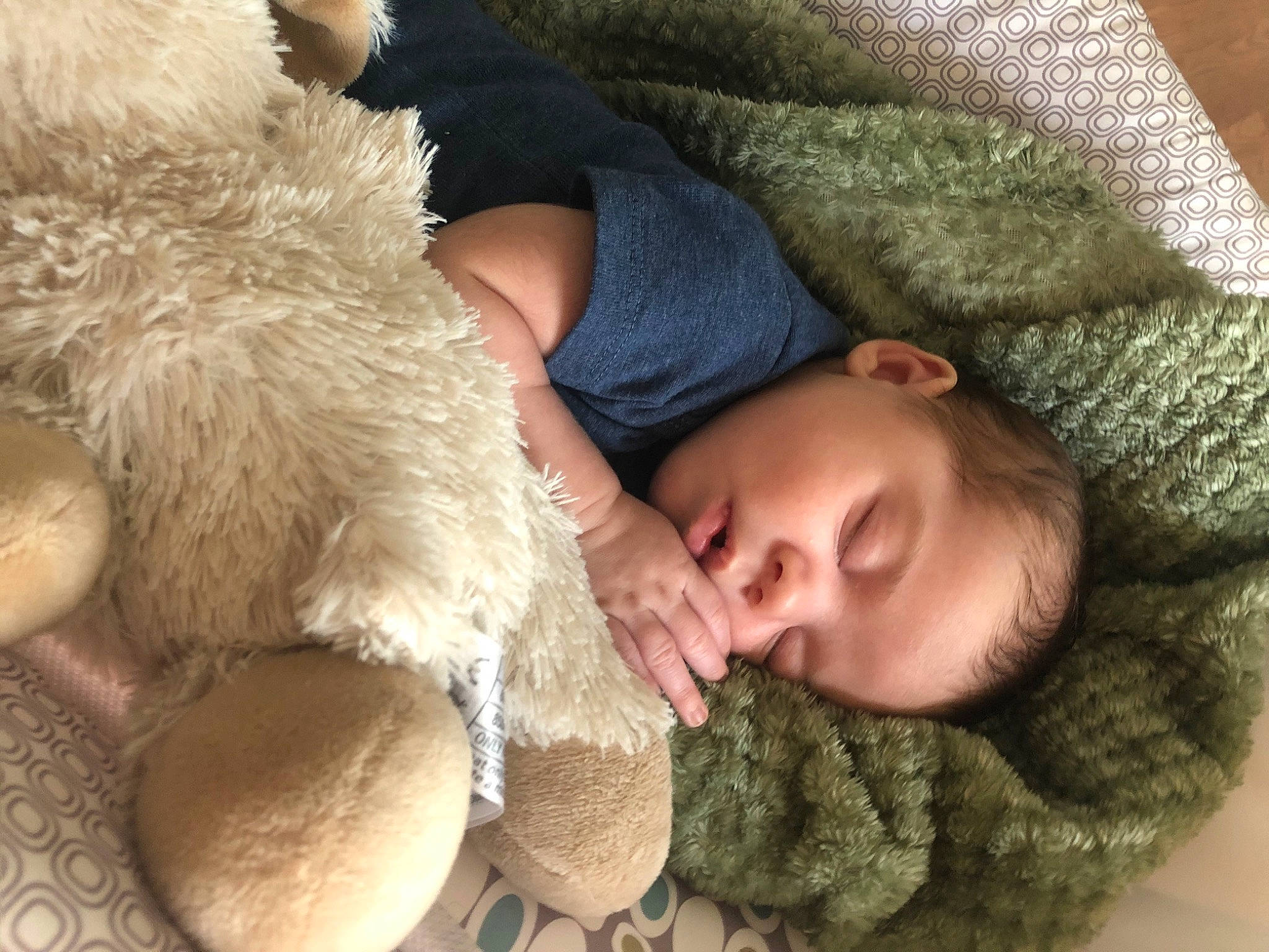 Jarrett is registered to the contest to win money with this photo: baby, baby_sleeping, child, comfort, ear, fawn, fur, fur_clothing, nap, nose, person, skin, sleep, toddler