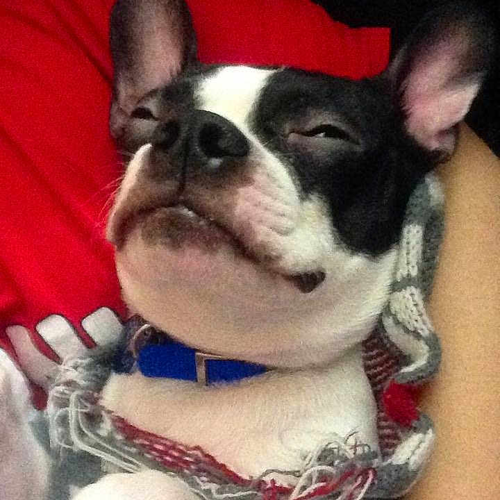 Benji