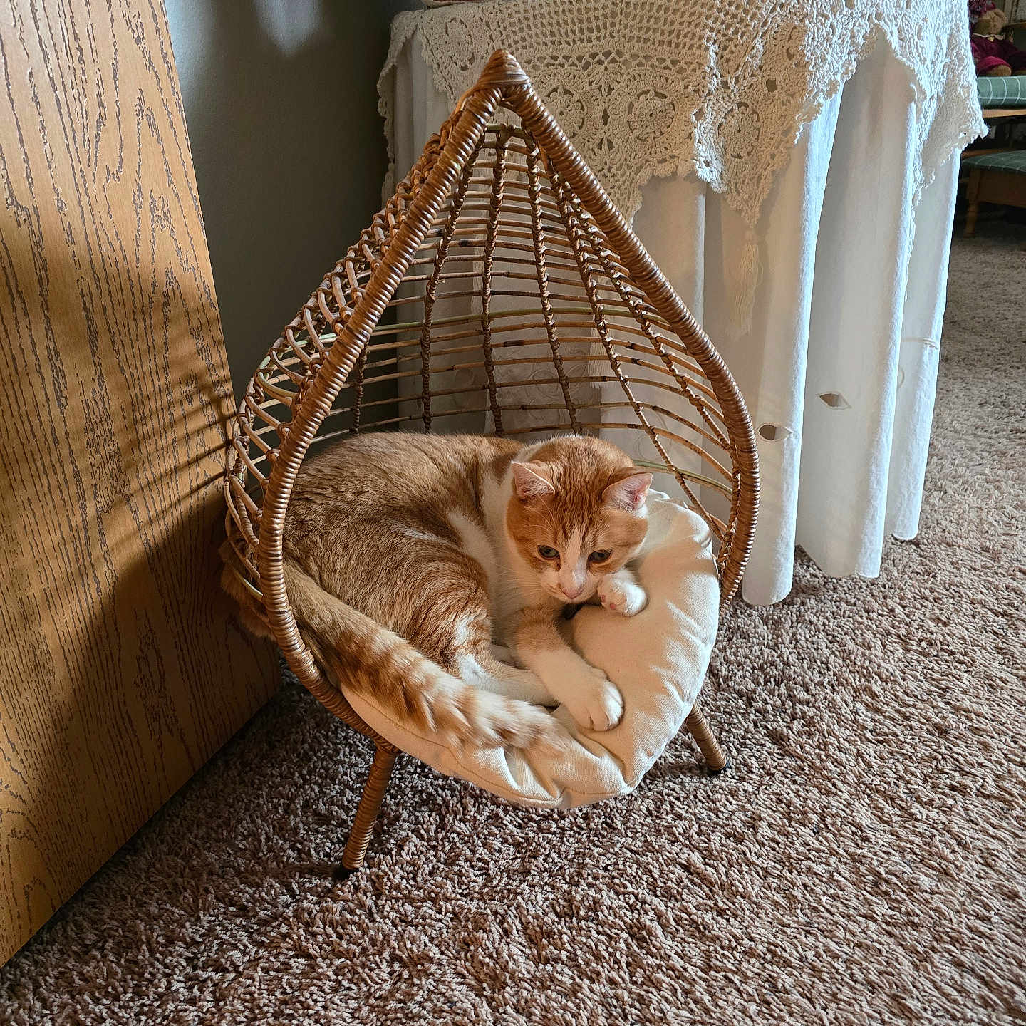 Cheeto