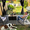 Sky is registered to the contest to win money with this photo: backyard, carpet, casual, clothesline, dog, fence, gazebo, grass, laundry, outdoor_furniture, phone, potted_plant, relaxing, rocking_chair, saint_bernard, shoes, string_lights, sunlight, table, woman
