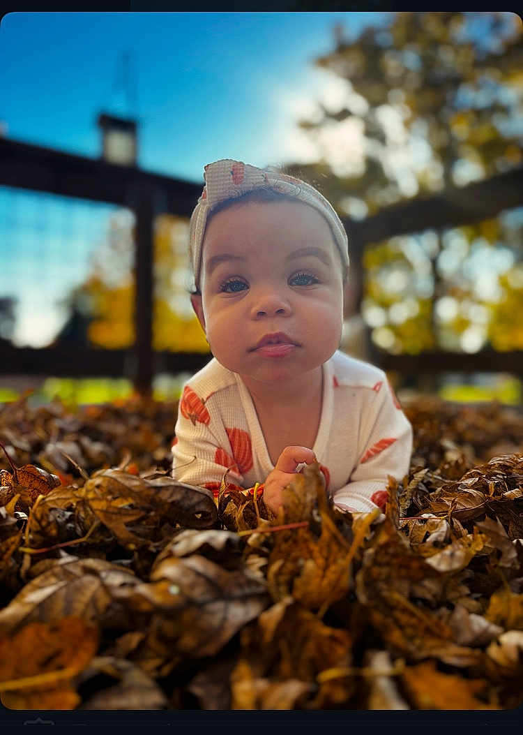 Delilah is registered to the contest to win money with this photo: baby, child, autumn_leaves, outdoor, headband, fall, nature, portrait, cute, infant, wooden_fence, seasonal, daylight, background_blur, young_child, leaf_litter, cozy_clothing, expression, face, curious