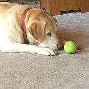 Maggie joined the competition — help win amazing prizes!