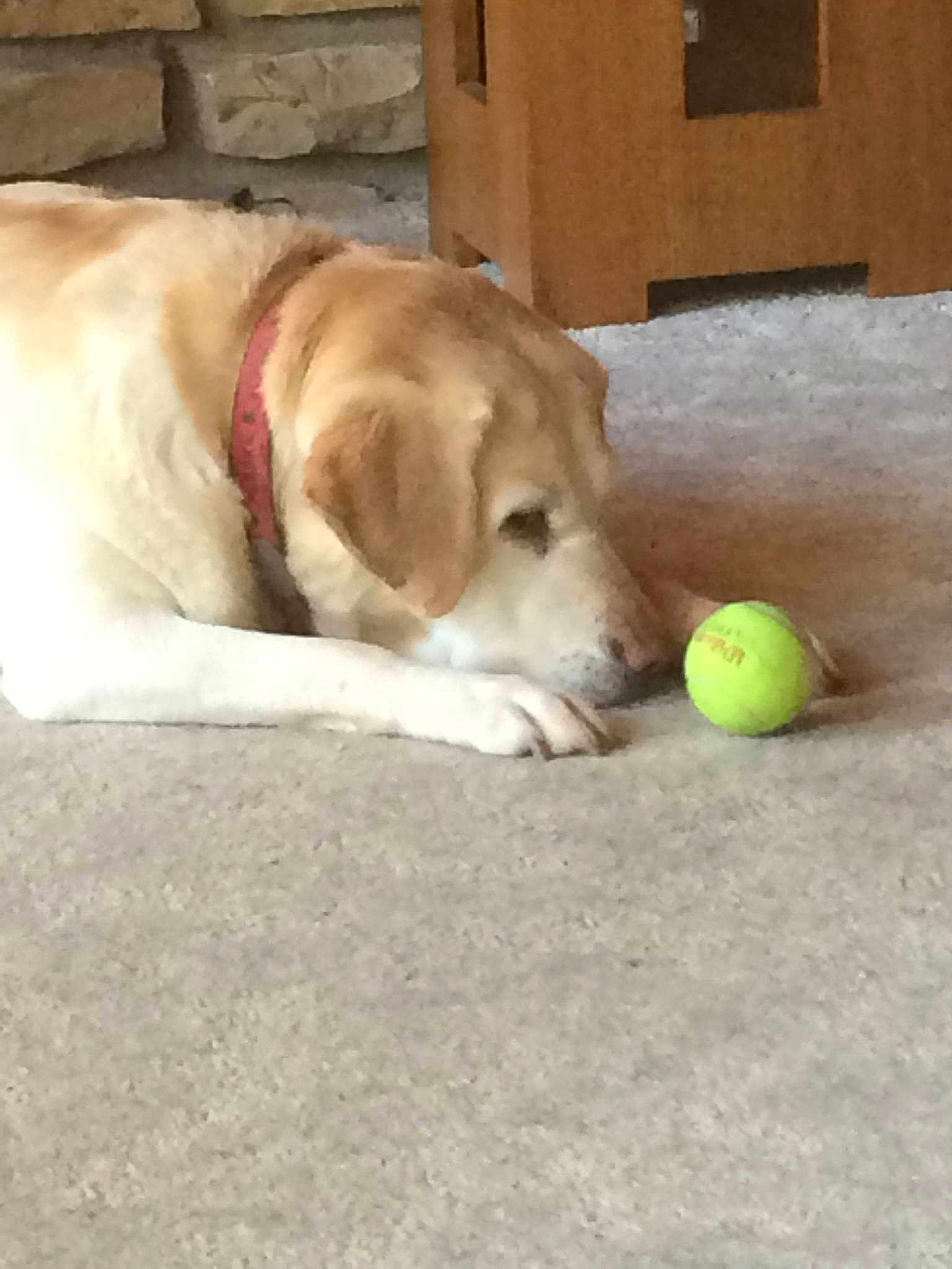 Maggie