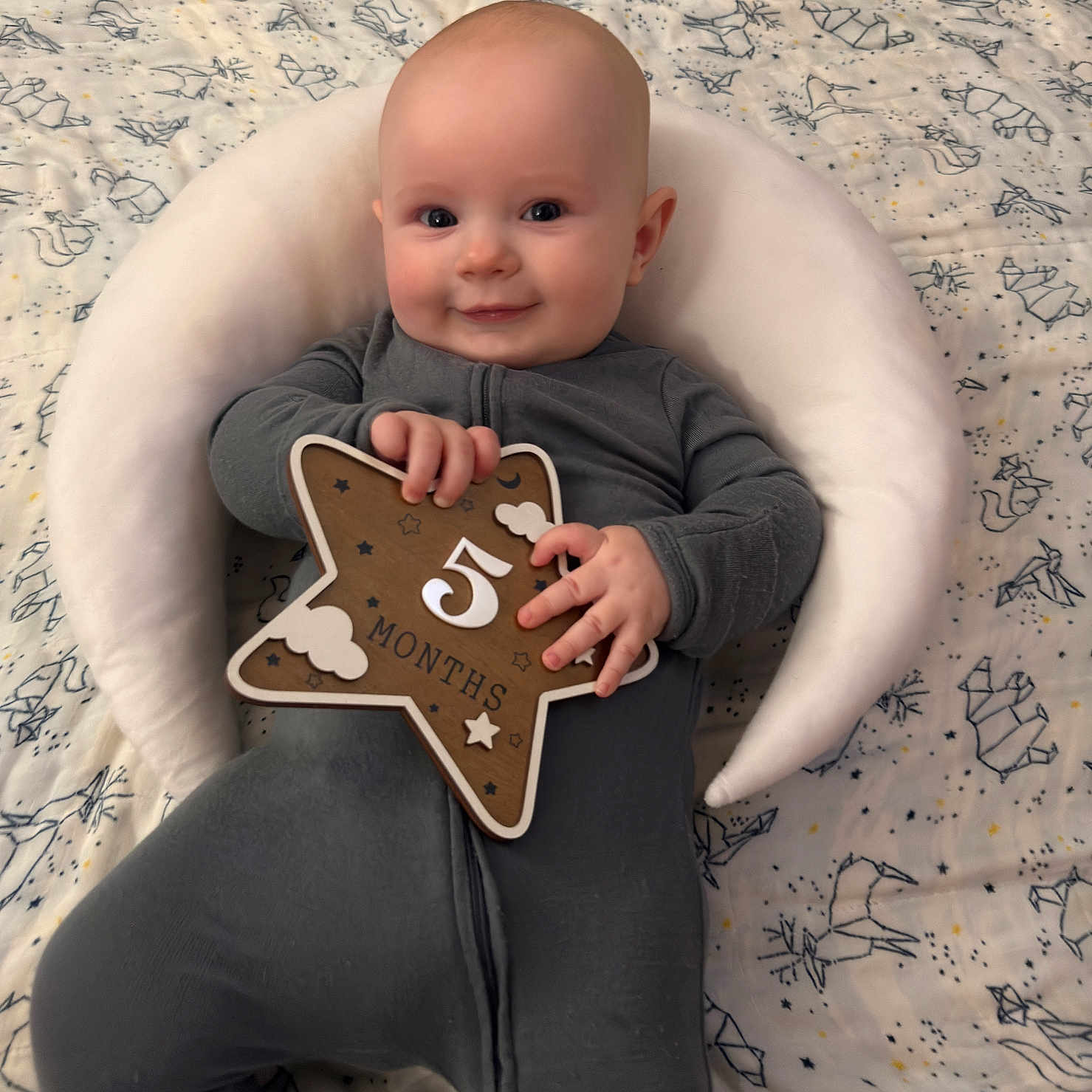 Orion is registered to the contest to win money with this photo: age_sign, baby, blanket, child, comfortable, cozy, cute, face, hand, indoor, infant, lying_down, milestone, onesie, patterned_blanket, pillow, smile, soft, star_sign, young