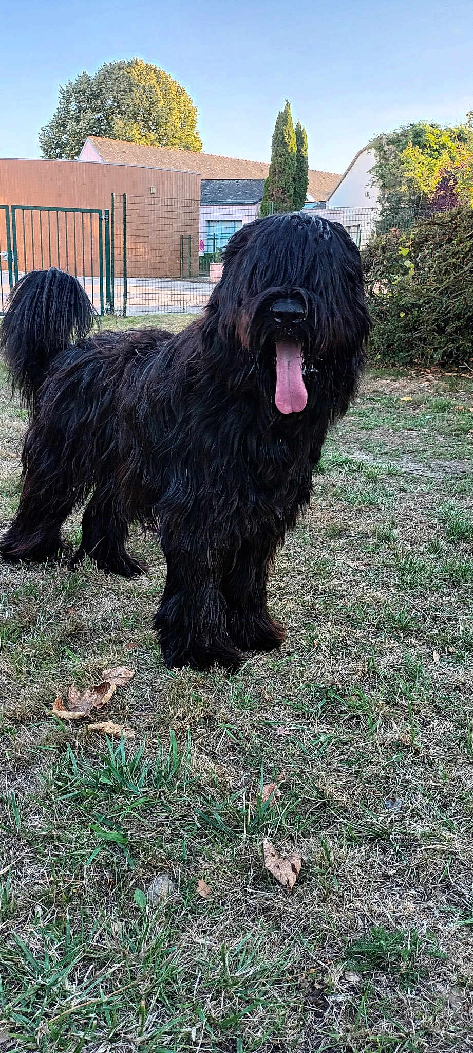 Tilou