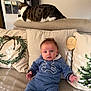 baby, cat, couch, pillow, blue_outfit, indoor, holiday, decor, curious, relaxed, pet, child, furniture, portrait, home, soft_lighting, cozy, two_months, infant, comfortable