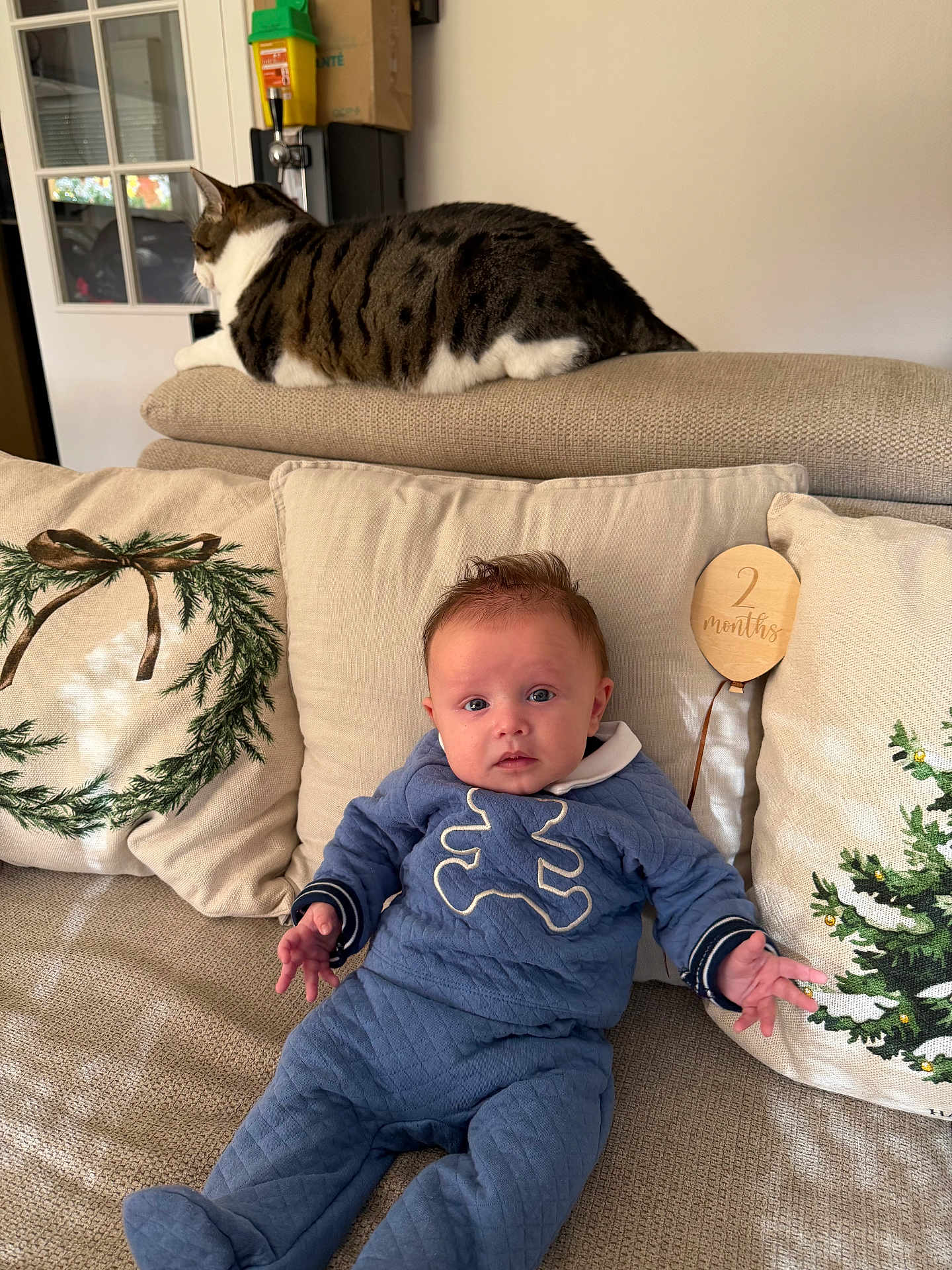 Noah participe au concours pour gagner de l'argent avec cette photo : baby, cat, couch, pillow, blue_outfit, indoor, holiday, decor, curious, relaxed, pet, child, furniture, portrait, home, soft_lighting, cozy, two_months, infant, comfortable